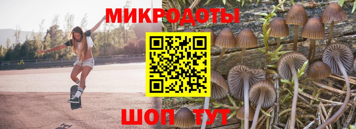 Галлюциногенные грибы MAGIC MUSHROOMS  Вход с VPN  Сегежа 